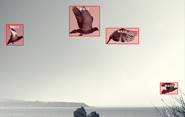 安信平台登录视频标注